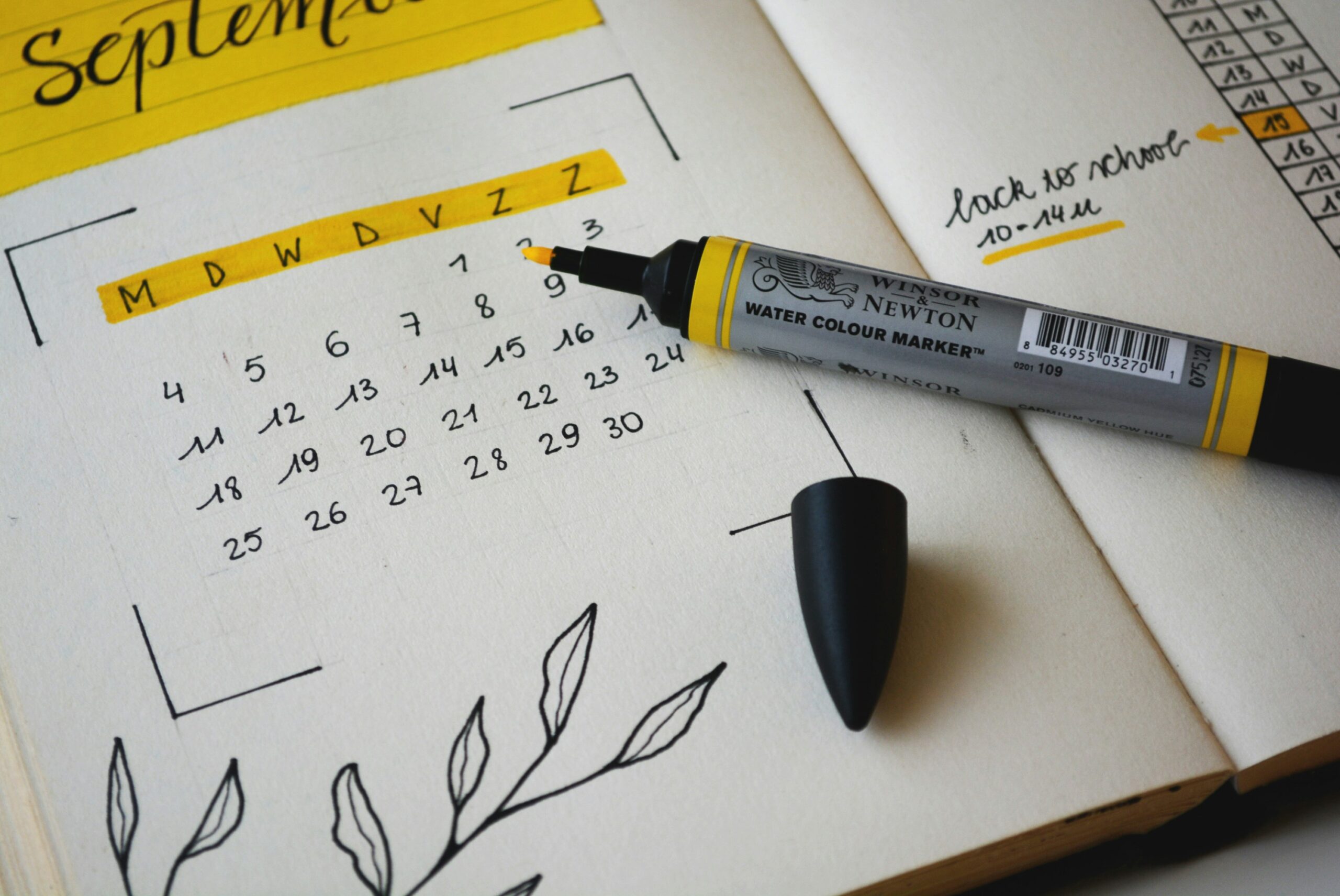 What is the 14-day accident law in Florida?