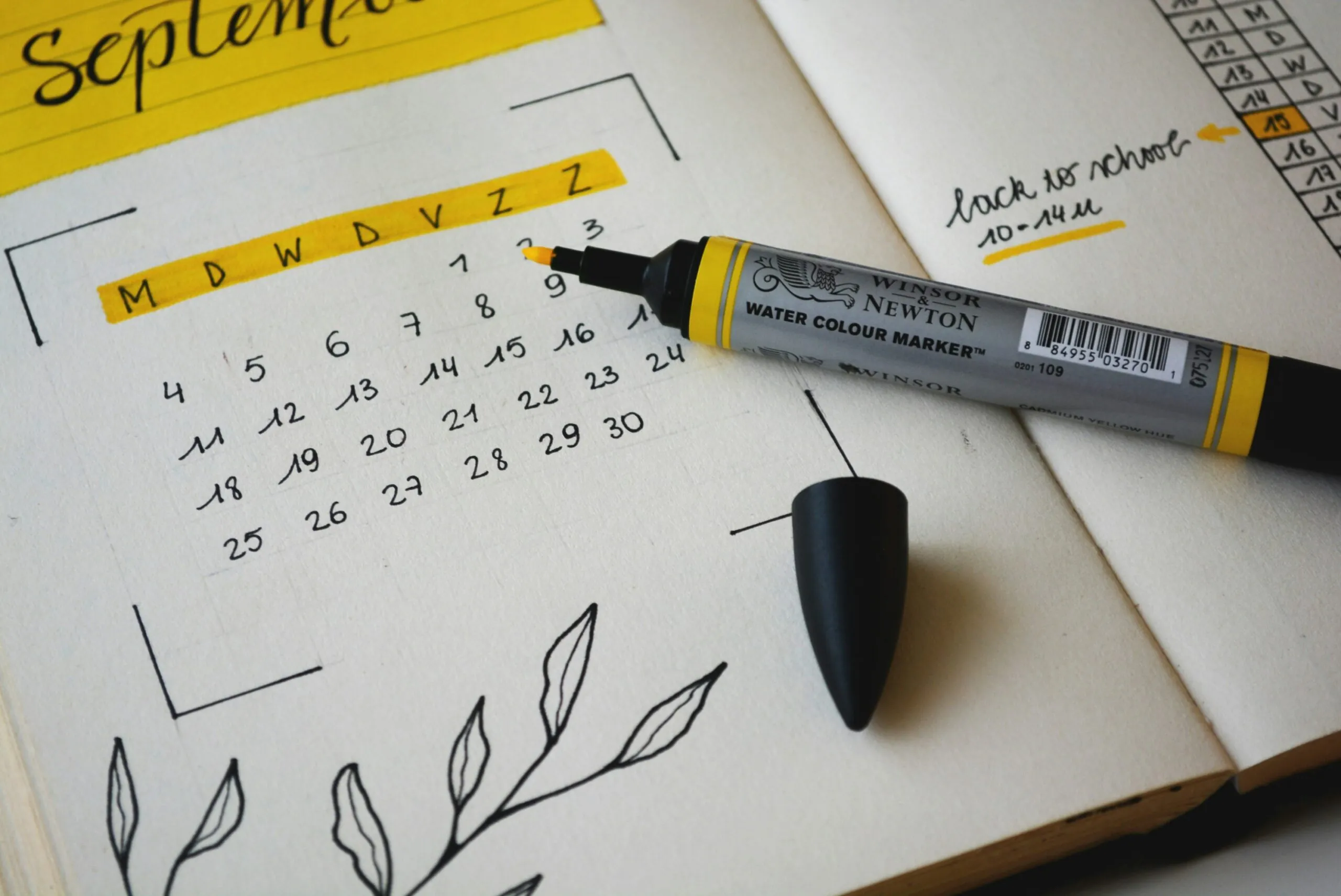 What is the 14-day accident law in Florida?