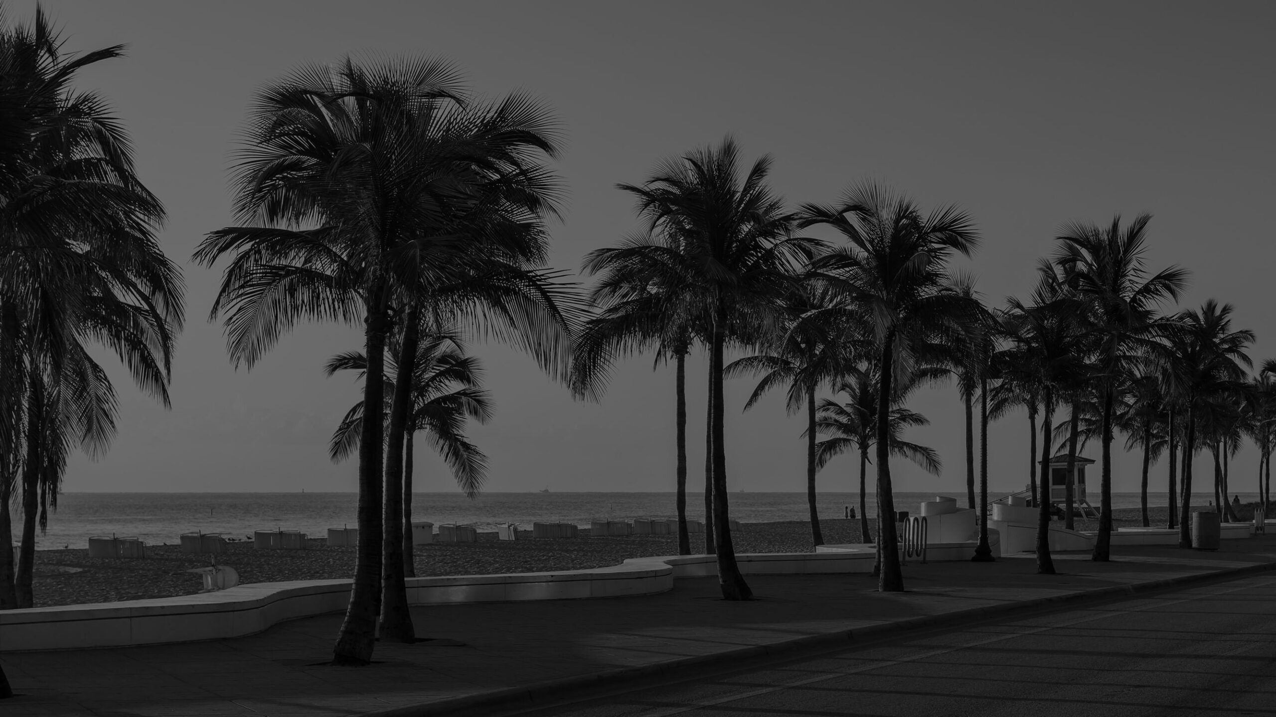 palms