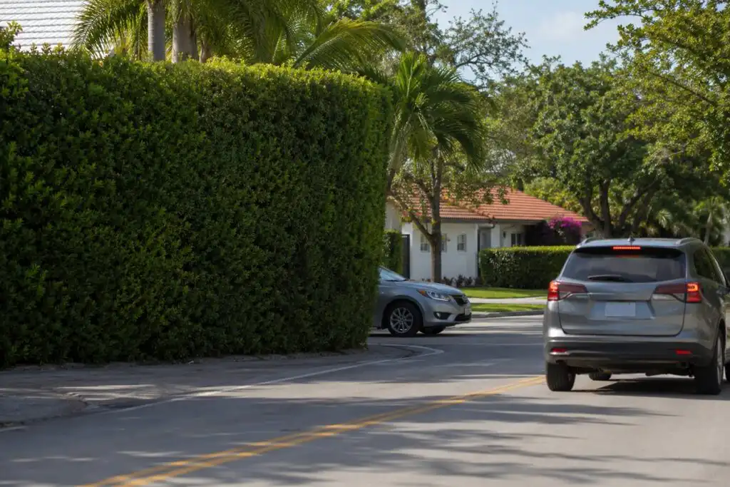 A car approaching a blind corner where a tall hedge blocks the view of cross traffic