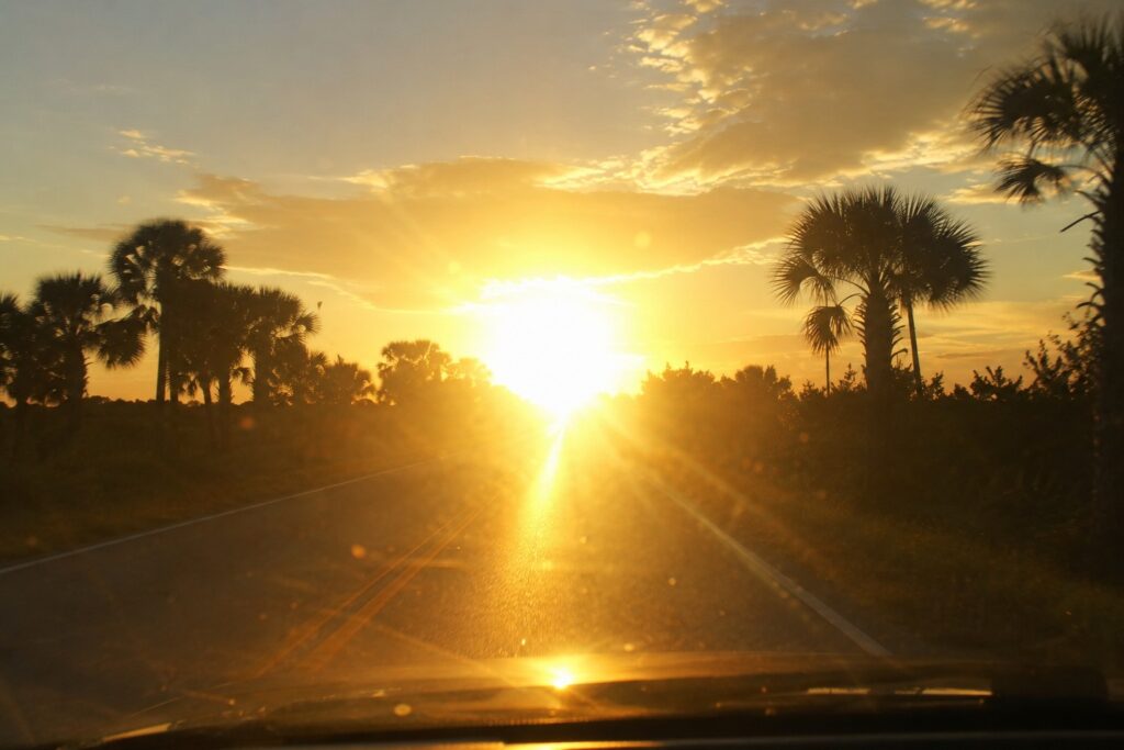 Blinding low sun glare over a Florida road at sunset, a common cause of sun glare collisions.